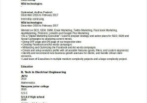 Digital Marketing Fresher Resume Sample Pdf 45 Marketing Resume Templates Pdf Doc