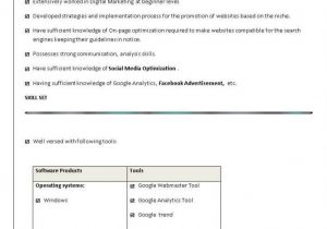 Digital Marketing Fresher Resume Sample Pdf Best Digital Marketing Course Institute Training Jaipur