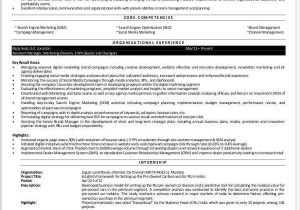 Digital Marketing Fresher Resume Sample Pdf Marketing Fresher Resume Template 4 Free Word Pdf