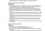 Digital Marketing Fresher Resume Sample Pdf Simply Digital Marketing Resume for Fresher Digital
