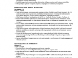 Digital Marketing Fresher Resume Sample Pdf Simply Digital Marketing Resume for Fresher Digital