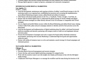 Digital Marketing Fresher Resume Sample Pdf Simply Digital Marketing Resume for Fresher Digital