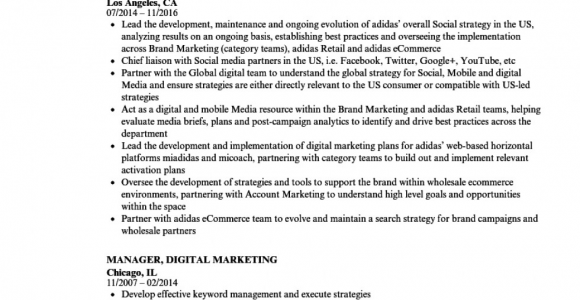 Digital Marketing Fresher Resume Sample Pdf Simply Digital Marketing Resume for Fresher Digital