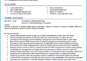 Digital Marketing Fresher Resume Sample Pdf where Can I Find Best Resume format for Digital Marketing