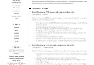 Digital Marketing Resume Sample for Experienced 19 Digital Marketer Resume Examples & Guide 2020 Pdf