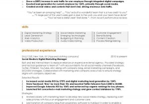 Digital Marketing Resume Sample for Experienced Best Marketing Resumes 4244 Marketing Resume, Digital Marketing …