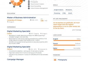 Digital Marketing Resume Sample for Freshers Digital Marketing Resume Example and Guide for 2019 Marketing …
