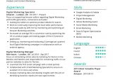 Digital Marketing Resume Sample Free Download Digital Marketing Resume Example Cv Sample [2020] Resumekraft