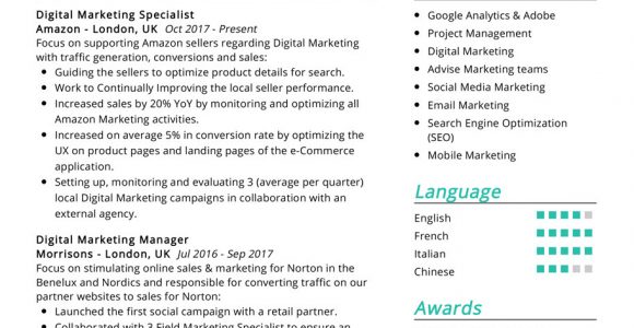 Digital Marketing Resume Sample Free Download Digital Marketing Resume Example Cv Sample [2020] Resumekraft