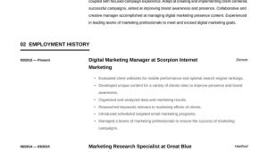 Digital Marketing Resume Samples for Freshers Digital Marketing Manager Resume Example & Writing Guide Â· Resume.io