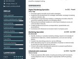 Digital Marketing Resume Samples for Freshers Digital Marketing Specialist Cv Sample 2022 Writing Tips …