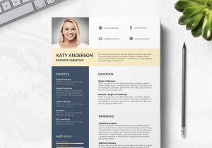 Digital Marketing Resume Template Free Download 75 Best Free Resume Templates Of 2019