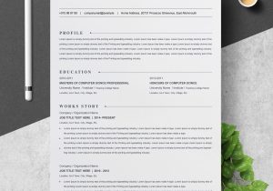Digital Marketing Resume Template Free Download Digital Marketing Resume Resume Template Resumeinventor …
