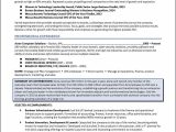 Director Of Business and Technology Resume Sample 3 Board Of Director Resume Examples – Distinctive Career Services