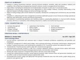 Director Of Business and Technology Resume Sample Cto Resume Examples & Template (with Job Winning Tips)