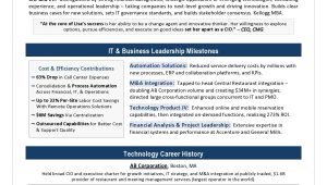 Director Of Business and Technology Resume Sample It Director Sample Resume. It Resume Writing Sample by Leading Writer