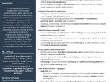 Director Of Business and Technology Resume Sample Technology Resume Examples & Resume Samples [2020]