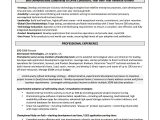 Director Of Business and Technology Resume Sample What Should An It Resume Look Like? â are You Searching for An It …
