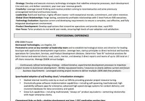 Director Of Business and Technology Resume Sample What Should An It Resume Look Like? â are You Searching for An It …
