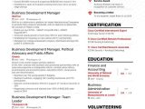Director Of Business Development Resume Templates Business Development Resume Samples [4 Templates   Tips]