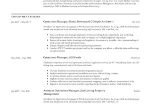 Director Of Business Operations Resume Sample Operations Manager Resume & Writing Guide  12 Examples Pdf