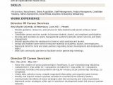 Director Of Career Services Resume Sample Director Of Career Services Resume Samples