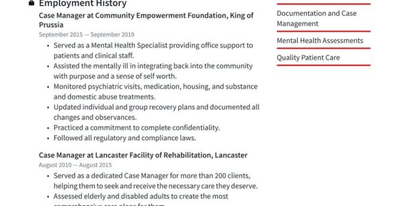 Director Of Case Management Sample Resume Case Manager Resume Examples & Writing Tips 2022 (free Guide)