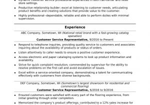 Director Of Customer Service Resume Samples Customer Service Representative Resume Sample Monster.com