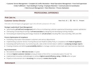 Director Of Customer Service Resume Samples Free Customer Service Director Resume Sample 2020 by Hiration