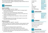 Director Of Data Analytics Resume Samples Data Analyst Resume Sample 2022 Writing Tips – Resumekraft