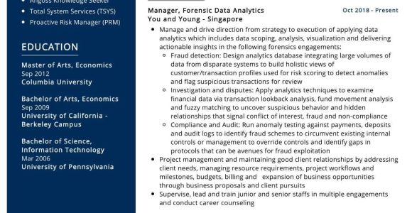 Director Of Data Analytics Resume Samples Data Analytics Manager Resume Sample 2022 Writing Tips – Resumekraft