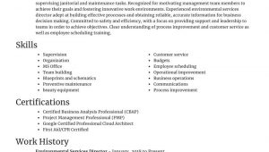 Director Of Environmental Services Resume Sample Environmental Services Director Resume Editor & Examples