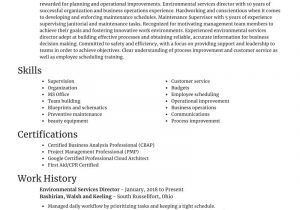 Director Of Environmental Services Resume Sample Environmental Services Director Resume Editor & Examples