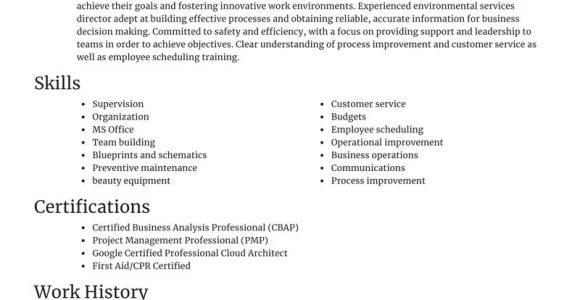 Director Of Environmental Services Resume Sample Environmental Services Director Resume Editor & Examples