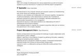 Director Of Information Technology Resume Sample Information Technology Resume Samples All Experience Levels …