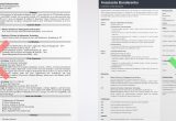 Director Of Information Technology Resume Sample It Director Resume: Sample & Writing Guide [20lancarrezekiq Tips]