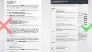 Director Of Information Technology Resume Sample It Director Resume: Sample & Writing Guide [20lancarrezekiq Tips]