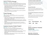 Director Of Product Development Resume Sample Product Manager Resume Examples & Guide for 2021