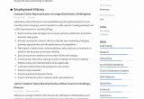 Door to Door Sales Resume Sample Guide: Customer Sales Representative Resume  12 Samples Pdf 2020