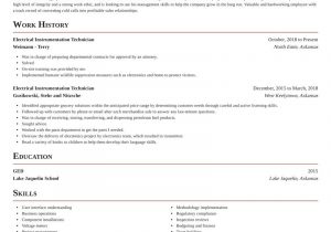 Electrical and Instrumentation Technician Resume Sample Electrical Instrumentation Technician Resume Writer & Samples