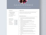 Elementary School Counselor Resume Sample Handle Acs School Resume Templates – Design, Free, Download Template.net