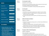 Elon Musk One Page Resume Sample Elon Musk One-page Resume: Real Example & Template