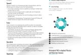 Elon Musk One Page Resume Sample Elon Musk’s Ceo Resume Example In One Page Enhancv