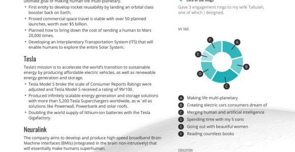 Elon Musk Resume Template Download Free Elon Musk’s Ceo Resume Example In One Page Enhancv