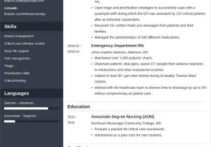 Emergency Room Registered Nurse Sample Resume Er / Emergency Room Nurse Resume [lancarrezekiqjob Description]