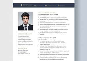 Emerging Museum Professional and Resume Sample Art Museum Curator Resume Template – Word, Apple Pages Template.net