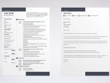 Emerging Museum Professional and Resume Sample Artist Resume: 20lancarrezekiq Templates & Best Examples for All Artists