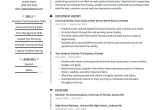 Emerging Museum Professional and Resume Sample tour Guide Resume Examples & Writing Tips 2022 (free Guide)