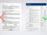 Emerging Student and assistant Professor and Resume Sample Professor Resume: Sample & Writing Guide [20lancarrezekiq Tips]