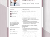 Employee Benefits Account Manager Resume Sample Payroll and Benefits Manager Resume Template – Word, Apple Pages …